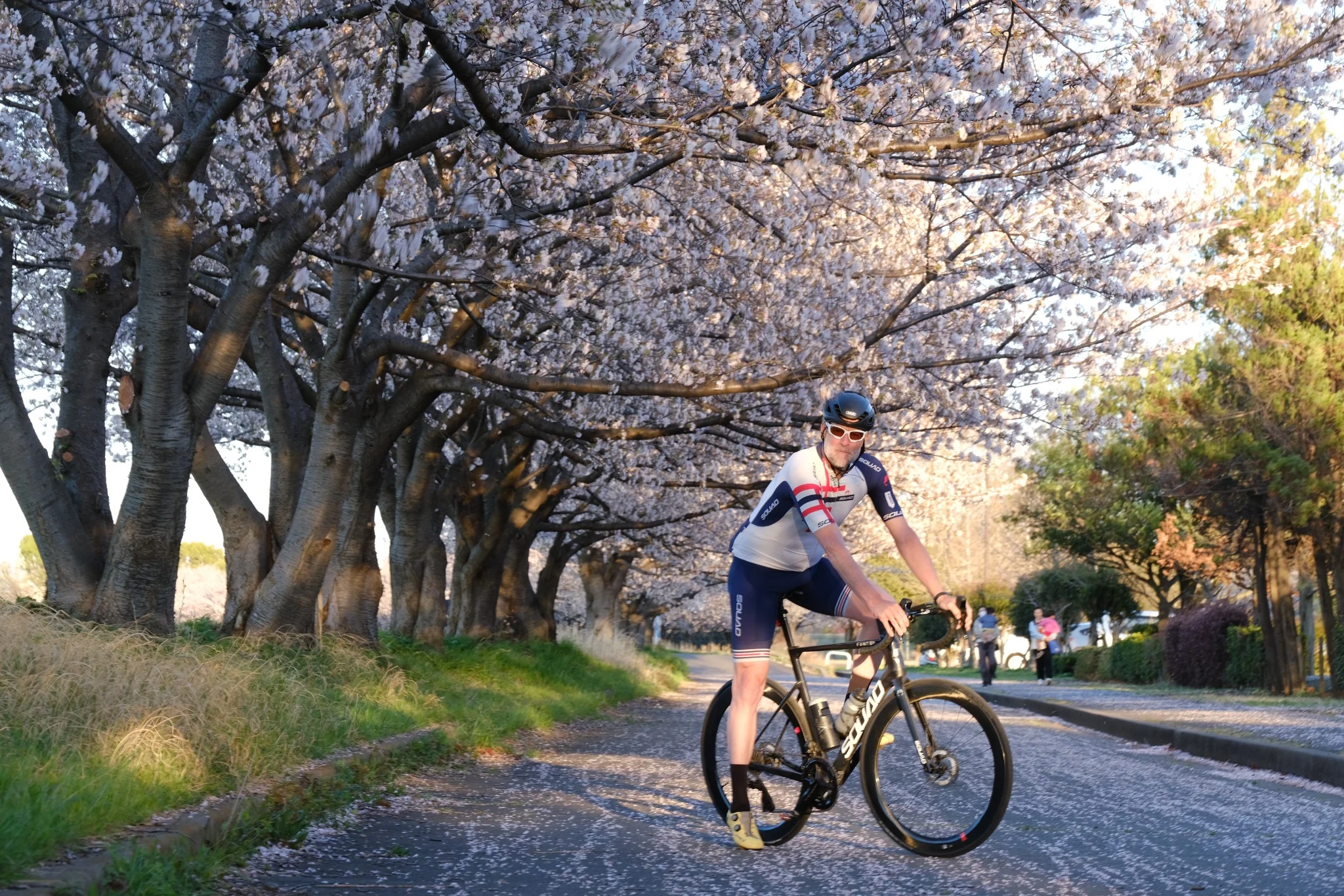 Cycliste et vélo SQUAD sous les cerisiers en fleurs au Japon